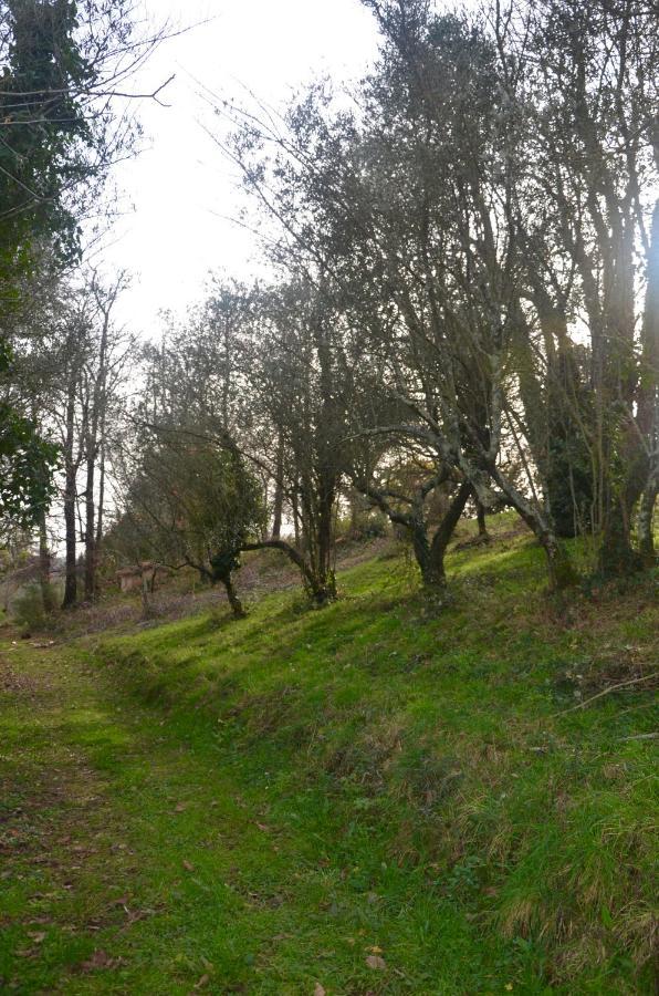 Il Giardino Secreto Leilighet Manziana Eksteriør bilde
