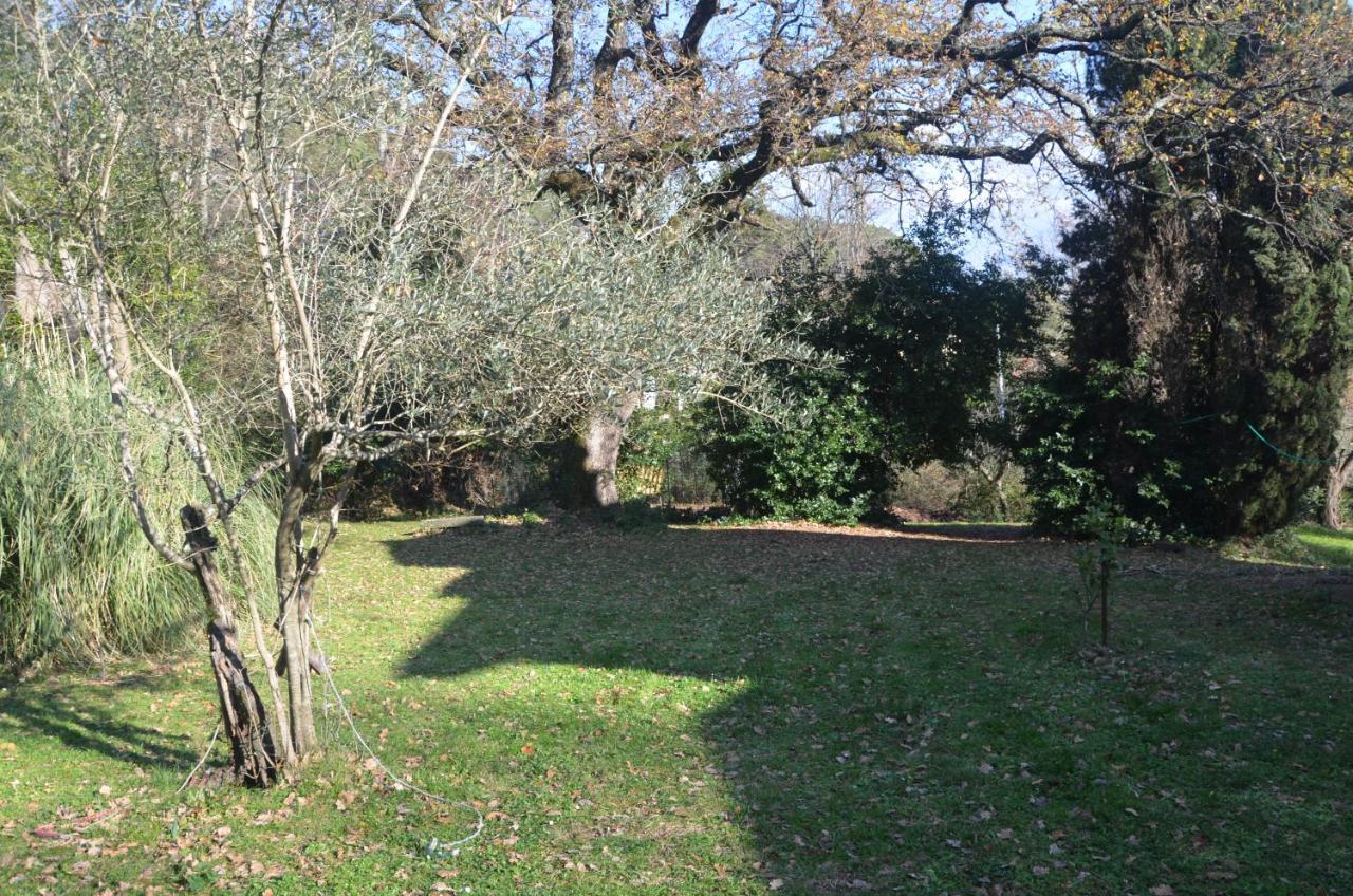 Il Giardino Secreto Leilighet Manziana Eksteriør bilde