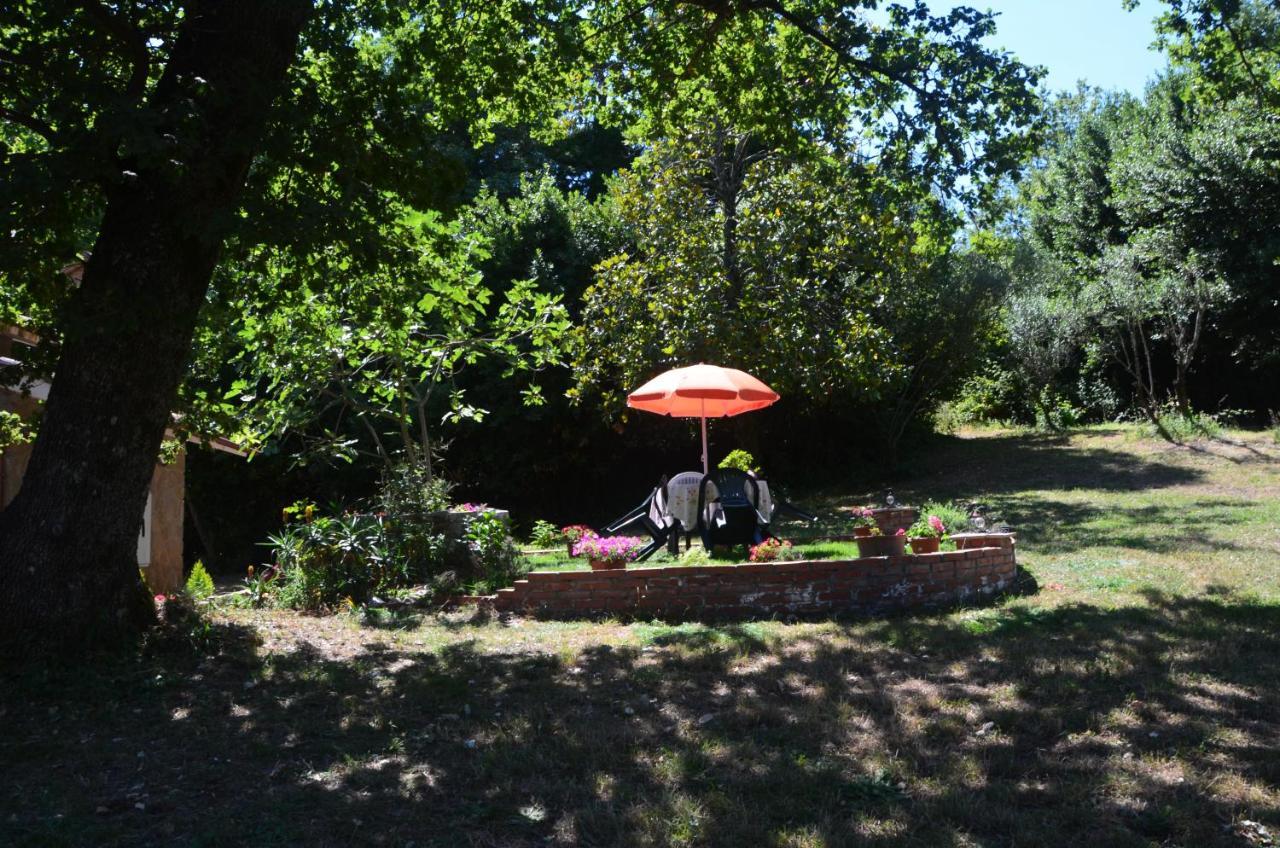 Il Giardino Secreto Leilighet Manziana Eksteriør bilde